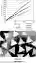Fig. 10 - PRODUCTION TOOL TO MAKE ABRASIVE PARTICLES WITH GROOVES