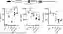 Fig. 01 - COMPOSITIONS AND METHODS FOR INCREASING STEM CELL FUNCTION