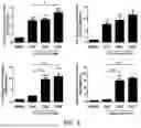 Fig. 04 - METHOD FOR PRODUCING CARTILAGE CELLS INDUCED TO BE DIFFERENTIATED FROM STEM CELLS
