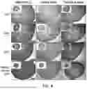 Fig. 05 - METHOD FOR PRODUCING CARTILAGE CELLS INDUCED TO BE DIFFERENTIATED FROM STEM CELLS