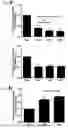 Fig. 07 - METHOD FOR PRODUCING CARTILAGE CELLS INDUCED TO BE DIFFERENTIATED FROM STEM CELLS