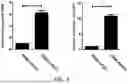 Fig. 08 - METHOD FOR PRODUCING CARTILAGE CELLS INDUCED TO BE DIFFERENTIATED FROM STEM CELLS