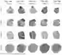 Fig. 17 - METHOD FOR PRODUCING CARTILAGE CELLS INDUCED TO BE DIFFERENTIATED FROM STEM CELLS
