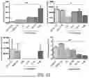 Fig. 24 - METHOD FOR PRODUCING CARTILAGE CELLS INDUCED TO BE DIFFERENTIATED FROM STEM CELLS