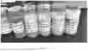 Fig. 09 - CONSUMABLE TISSUE-LIKE STRUCTURE GENERATED WITH MUSCLE CELLS GROWN ON EDIBLE HOLLOW FIBERS
