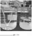 Fig. 11 - CONSUMABLE TISSUE-LIKE STRUCTURE GENERATED WITH MUSCLE CELLS GROWN ON EDIBLE HOLLOW FIBERS
