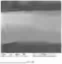 Fig. 16 - CONSUMABLE TISSUE-LIKE STRUCTURE GENERATED WITH MUSCLE CELLS GROWN ON EDIBLE HOLLOW FIBERS