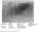 Fig. 19 - CONSUMABLE TISSUE-LIKE STRUCTURE GENERATED WITH MUSCLE CELLS GROWN ON EDIBLE HOLLOW FIBERS