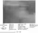 Fig. 24 - CONSUMABLE TISSUE-LIKE STRUCTURE GENERATED WITH MUSCLE CELLS GROWN ON EDIBLE HOLLOW FIBERS