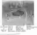 Fig. 26 - CONSUMABLE TISSUE-LIKE STRUCTURE GENERATED WITH MUSCLE CELLS GROWN ON EDIBLE HOLLOW FIBERS