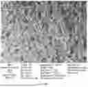 Fig. 27 - CONSUMABLE TISSUE-LIKE STRUCTURE GENERATED WITH MUSCLE CELLS GROWN ON EDIBLE HOLLOW FIBERS