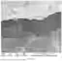 Fig. 28 - CONSUMABLE TISSUE-LIKE STRUCTURE GENERATED WITH MUSCLE CELLS GROWN ON EDIBLE HOLLOW FIBERS