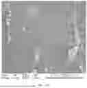 Fig. 29 - CONSUMABLE TISSUE-LIKE STRUCTURE GENERATED WITH MUSCLE CELLS GROWN ON EDIBLE HOLLOW FIBERS