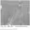 Fig. 30 - CONSUMABLE TISSUE-LIKE STRUCTURE GENERATED WITH MUSCLE CELLS GROWN ON EDIBLE HOLLOW FIBERS