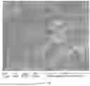 Fig. 31 - CONSUMABLE TISSUE-LIKE STRUCTURE GENERATED WITH MUSCLE CELLS GROWN ON EDIBLE HOLLOW FIBERS