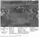 Fig. 34 - CONSUMABLE TISSUE-LIKE STRUCTURE GENERATED WITH MUSCLE CELLS GROWN ON EDIBLE HOLLOW FIBERS