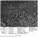 Fig. 35 - CONSUMABLE TISSUE-LIKE STRUCTURE GENERATED WITH MUSCLE CELLS GROWN ON EDIBLE HOLLOW FIBERS