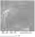 Fig. 37 - CONSUMABLE TISSUE-LIKE STRUCTURE GENERATED WITH MUSCLE CELLS GROWN ON EDIBLE HOLLOW FIBERS