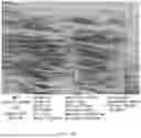 Fig. 43 - CONSUMABLE TISSUE-LIKE STRUCTURE GENERATED WITH MUSCLE CELLS GROWN ON EDIBLE HOLLOW FIBERS