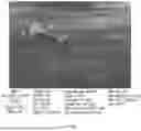 Fig. 45 - CONSUMABLE TISSUE-LIKE STRUCTURE GENERATED WITH MUSCLE CELLS GROWN ON EDIBLE HOLLOW FIBERS