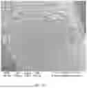 Fig. 46 - CONSUMABLE TISSUE-LIKE STRUCTURE GENERATED WITH MUSCLE CELLS GROWN ON EDIBLE HOLLOW FIBERS