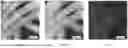 Fig. 49 - CONSUMABLE TISSUE-LIKE STRUCTURE GENERATED WITH MUSCLE CELLS GROWN ON EDIBLE HOLLOW FIBERS