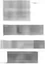 Fig. 03 - SERUM-FREE MEDIUM FOR DIFFERENTIATION OF A PROGENITOR CELL