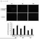 Fig. 07 - EARLY MESENCHYMAL STEM CELLS WITH REDUCED AGING AND PRESERVED STEM CELL ABILITY, AND CULTURING METHOD THEREFOR
