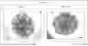 Fig. 01 - MEDIUM FOR CULTURING AND EXPANDING NEPHRON PROGENITOR CELLS, METHOD FOR CULTURING AND EXPANDING NEPHRON PROGENITOR CELLS, AND METHOD FOR PRODUCING RENAL ORGANOIDS