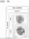 Fig. 09 - MEDIUM FOR CULTURING AND EXPANDING NEPHRON PROGENITOR CELLS, METHOD FOR CULTURING AND EXPANDING NEPHRON PROGENITOR CELLS, AND METHOD FOR PRODUCING RENAL ORGANOIDS