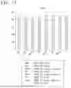 Fig. 14 - MEDIUM FOR CULTURING AND EXPANDING NEPHRON PROGENITOR CELLS, METHOD FOR CULTURING AND EXPANDING NEPHRON PROGENITOR CELLS, AND METHOD FOR PRODUCING RENAL ORGANOIDS