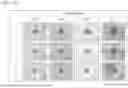 Fig. 20 - MEDIUM FOR CULTURING AND EXPANDING NEPHRON PROGENITOR CELLS, METHOD FOR CULTURING AND EXPANDING NEPHRON PROGENITOR CELLS, AND METHOD FOR PRODUCING RENAL ORGANOIDS