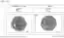 Fig. 25 - MEDIUM FOR CULTURING AND EXPANDING NEPHRON PROGENITOR CELLS, METHOD FOR CULTURING AND EXPANDING NEPHRON PROGENITOR CELLS, AND METHOD FOR PRODUCING RENAL ORGANOIDS