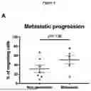 Fig. 04 - Methods for the Determination of Invasive Ability of Brain Tumour Cells and for the Diagnosis and Prognosis of Brain Tumour