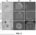 Fig. 04 - MATERIALS AND METHODS FOR BIOENGINEERED IPSC POPULATIONS