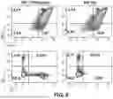Fig. 07 - MATERIALS AND METHODS FOR BIOENGINEERED IPSC POPULATIONS
