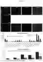 Fig. 06 - COMPOSITIONS AND METHODS TO IMPROVE IPSC-EC FUNCTION
