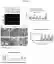 Fig. 09 - COMPOSITIONS AND METHODS TO IMPROVE IPSC-EC FUNCTION