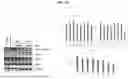 Fig. 19 - COMPOSITIONS AND METHODS TO IMPROVE IPSC-EC FUNCTION