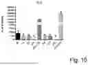 Fig. 09 - CELL CULTURE CHAMBER AND METHOD FOR CULTURING CELLS AND FOR THE IN VITRO PRODUCTION OF CELL LAYERS AND ORGAN MODELS