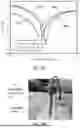 Fig. 20 - NONINVASIVE WATER CONTENT SENSOR