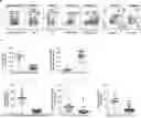 Fig. 01 - A METHOD OF EVALUATING SPERM HEALTH AND IDENTIFYING SPERM TO BE USED IN ASSIS REPRODUCTIVE TECHNOLOGIES