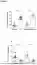 Fig. 08 - A METHOD OF EVALUATING SPERM HEALTH AND IDENTIFYING SPERM TO BE USED IN ASSIS REPRODUCTIVE TECHNOLOGIES