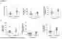 Fig. 22 - A METHOD OF EVALUATING SPERM HEALTH AND IDENTIFYING SPERM TO BE USED IN ASSIS REPRODUCTIVE TECHNOLOGIES