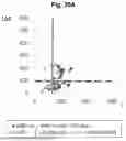 Fig. 35 - METHODS FOR SYSTEMATICALLY ASSESSING LOCAL INFLAMMATION AND ACTIVE REPAIR