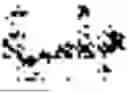 Fig. 131 - METHOD AND APPARATUS WITH ARABIC INFORMATION EXTRACTION AND SEMANTIC SEARCH