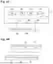 Fig. 05 - BIOMETRIC INFORMATION COMPUTING SYSTEM