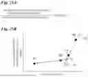 Fig. 26 - BIOMETRIC INFORMATION COMPUTING SYSTEM