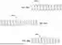 Fig. 26 - Tethers for Dynamic Gastric Bypass Device