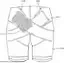 Fig. 01 - WEARABLE BOTTOM GARMENT FOR PREVENTING HIP DISLOCATION